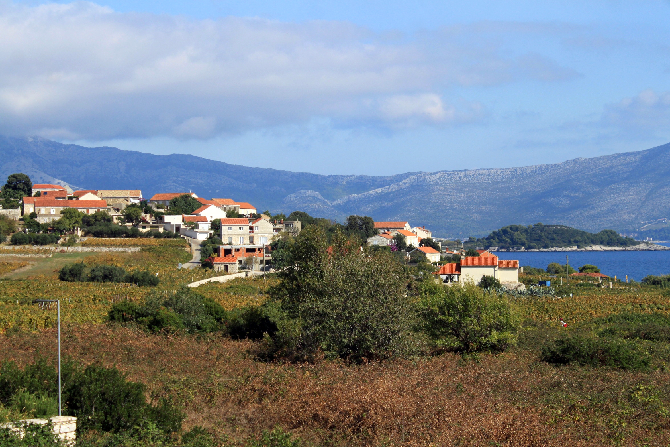 Two bedroom apartment with terrace and sea view Lumbarda, Korčula  A-a