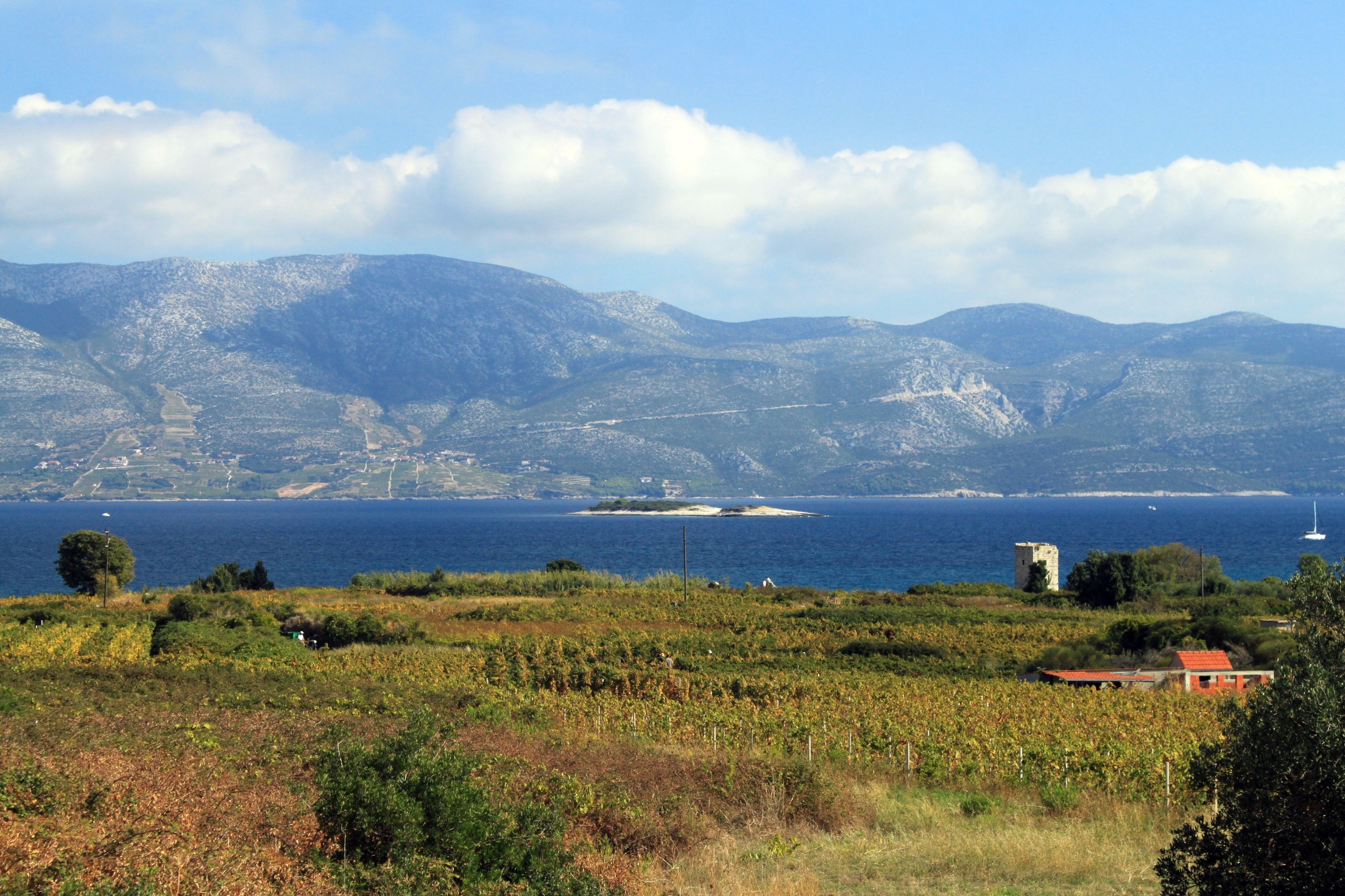 One bedroom apartment with terrace and sea view Lumbarda, Korčula  A-b