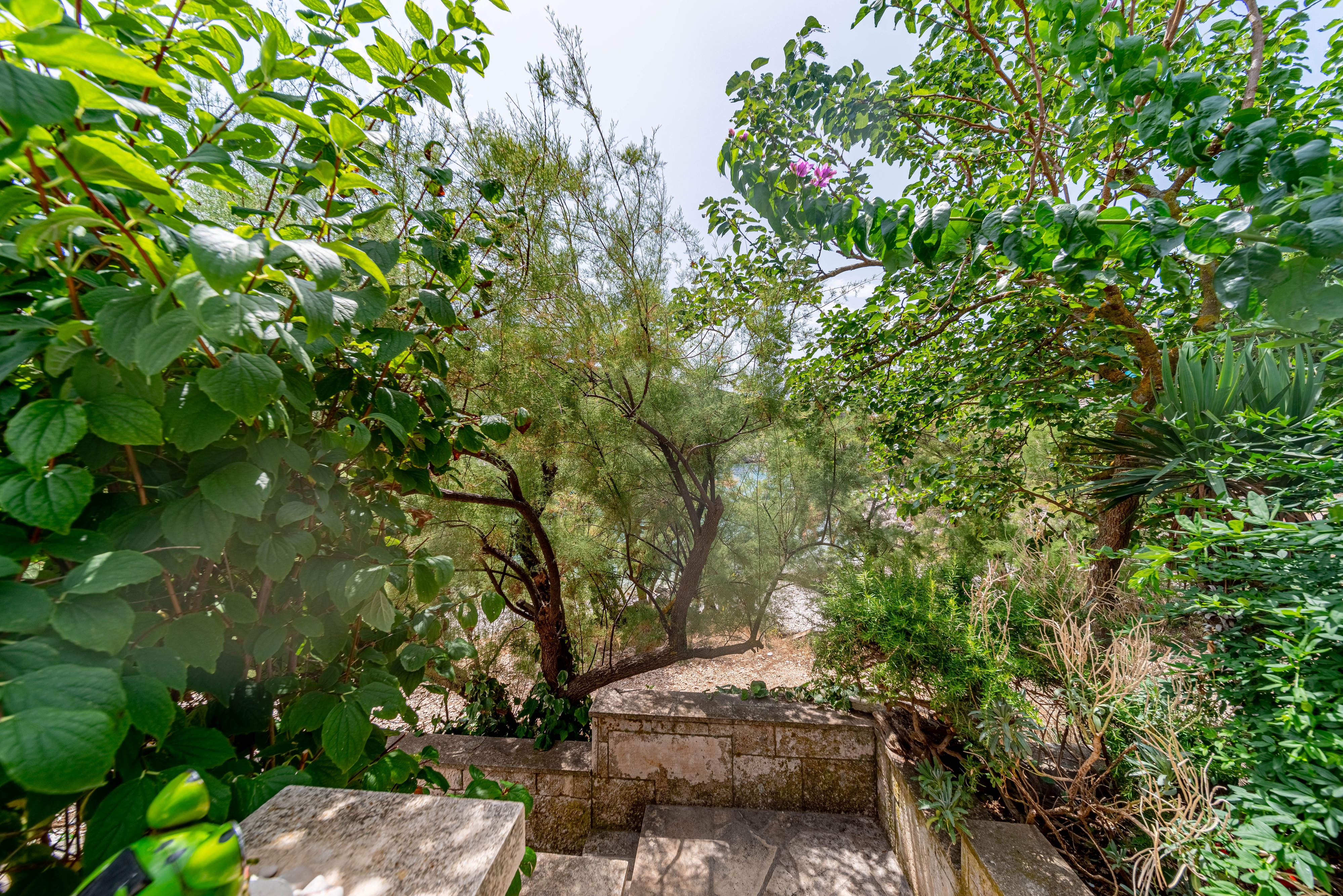 Four bedroom house near beach Cove Rasohatica, Korčula  K
