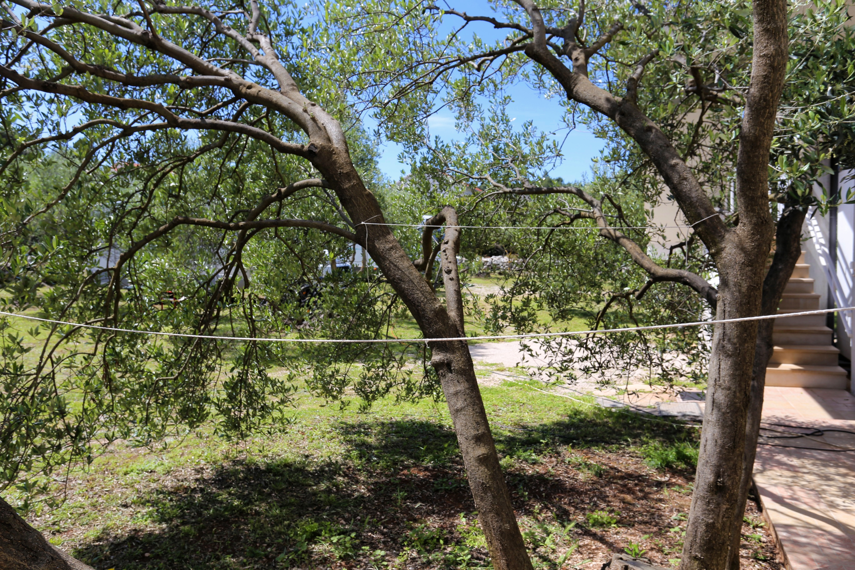 Top Korčula Lumbarda Top Korčula Lumbarda