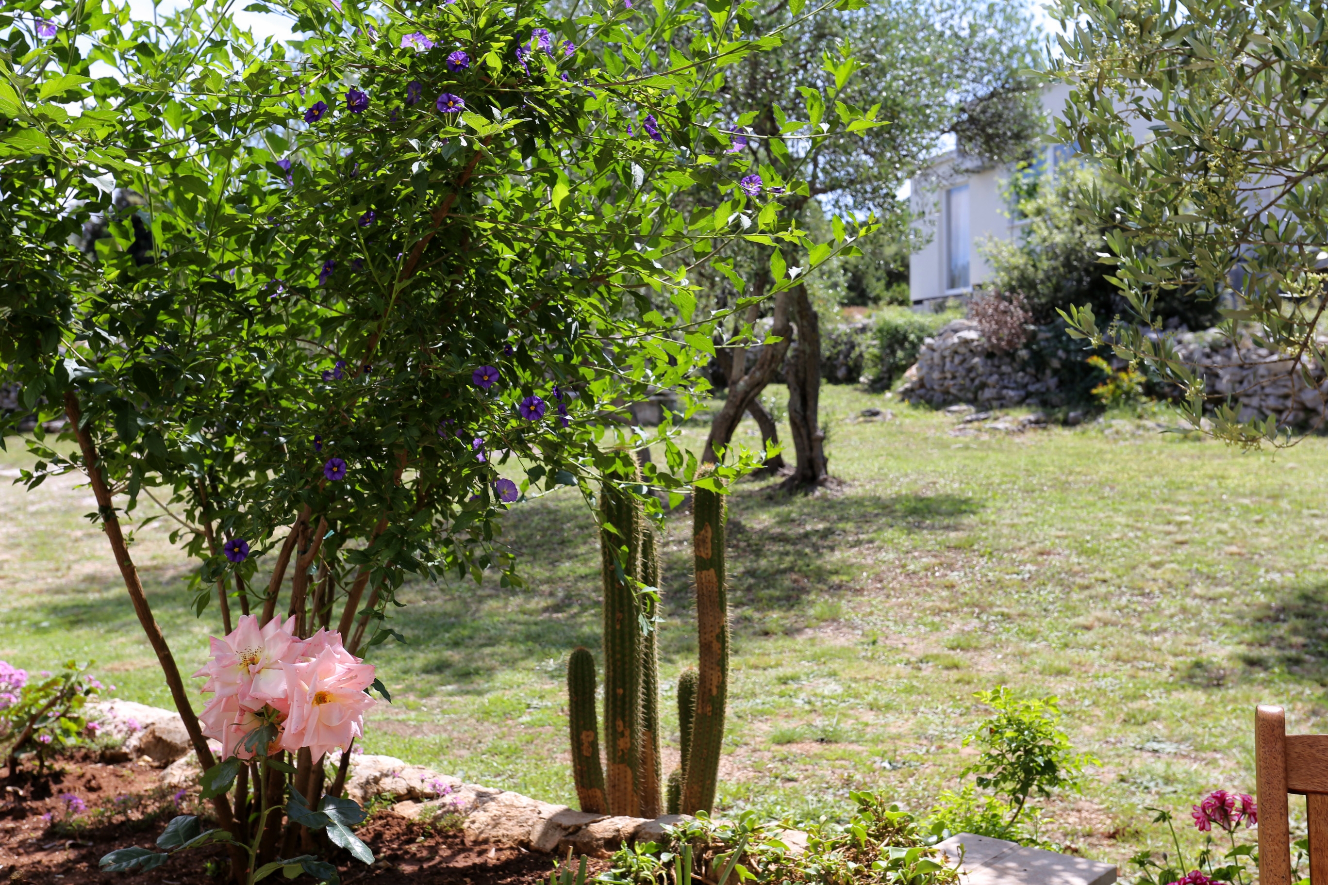 Top Korčula Lumbarda Top Korčula Lumbarda