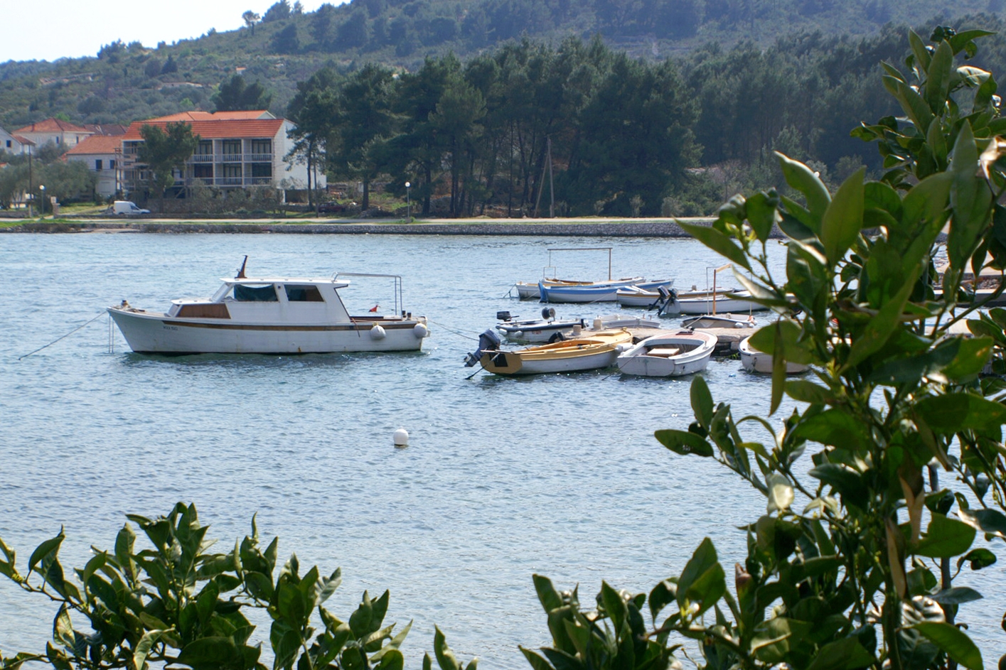 Top Korčula Lumbarda Top Korčula Lumbarda