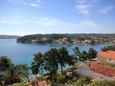 Lumbarda, Terrace - view in the apartment, (pet friendly) and WiFi.