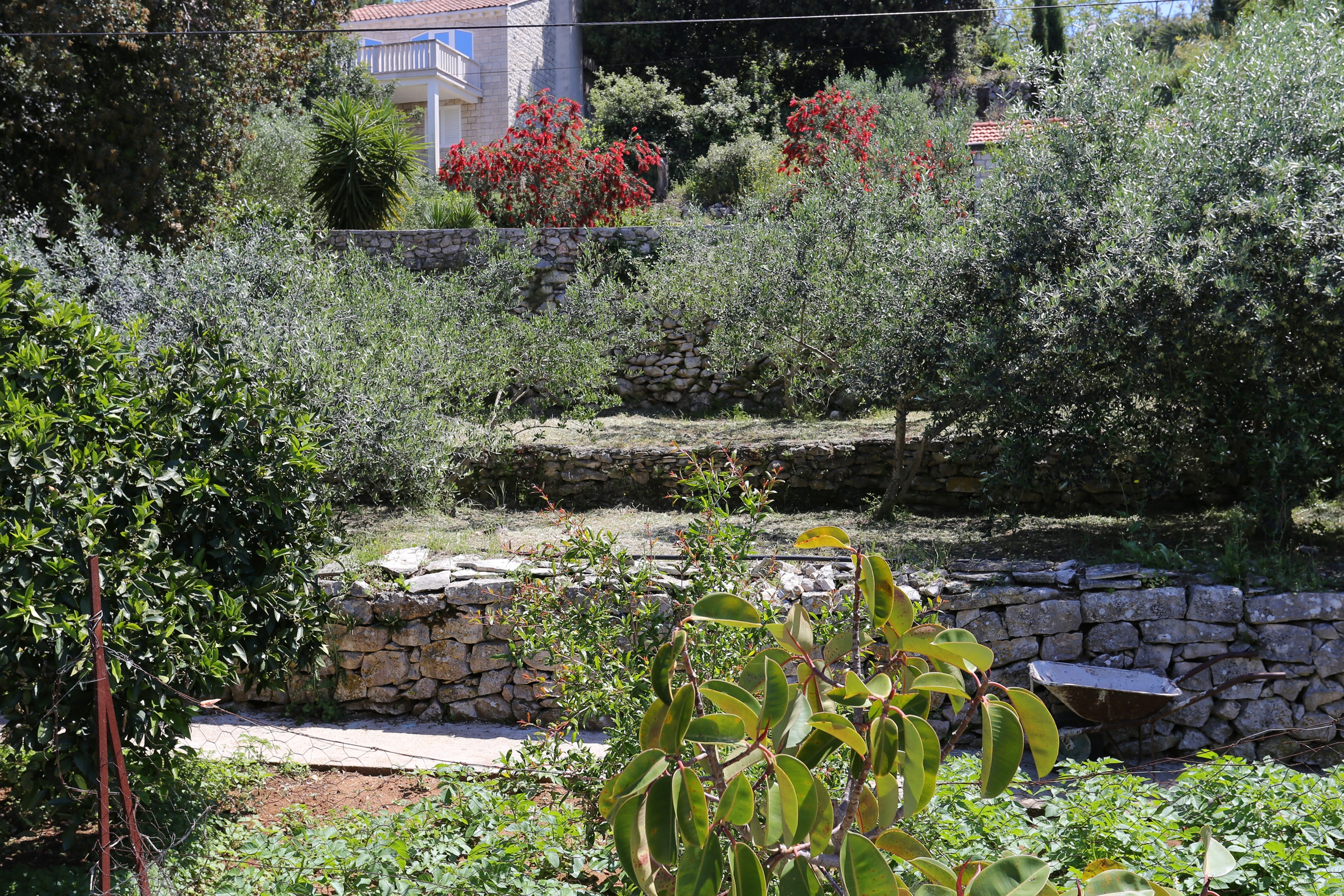 Three bedroom apartment near beach Lumbarda, Korčula  A-a