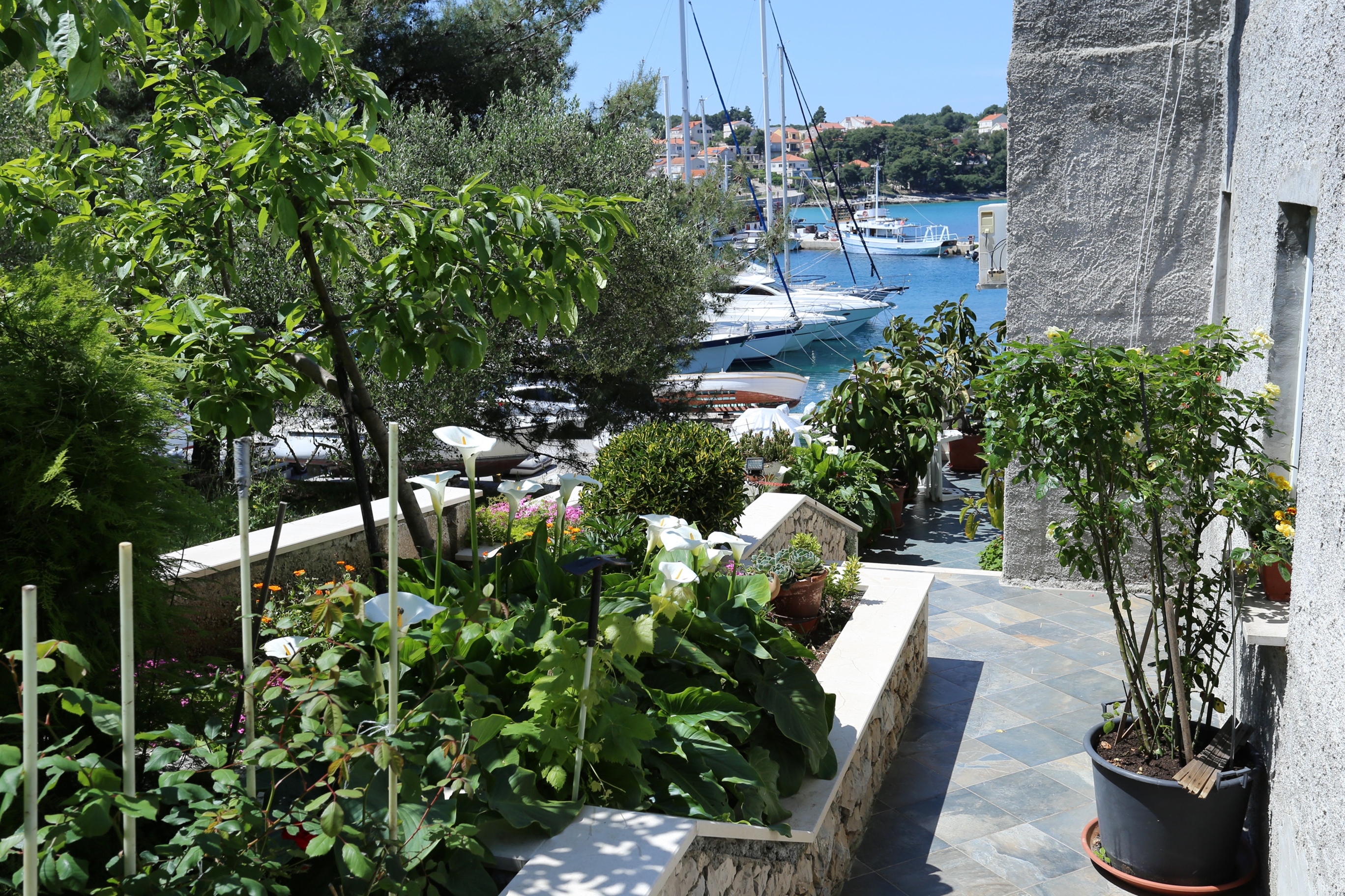 Studio flat near beach Lumbarda, Korčula (AS-4442-a) Studio flat near beach Lumbarda, Korčula (AS-4442-a)