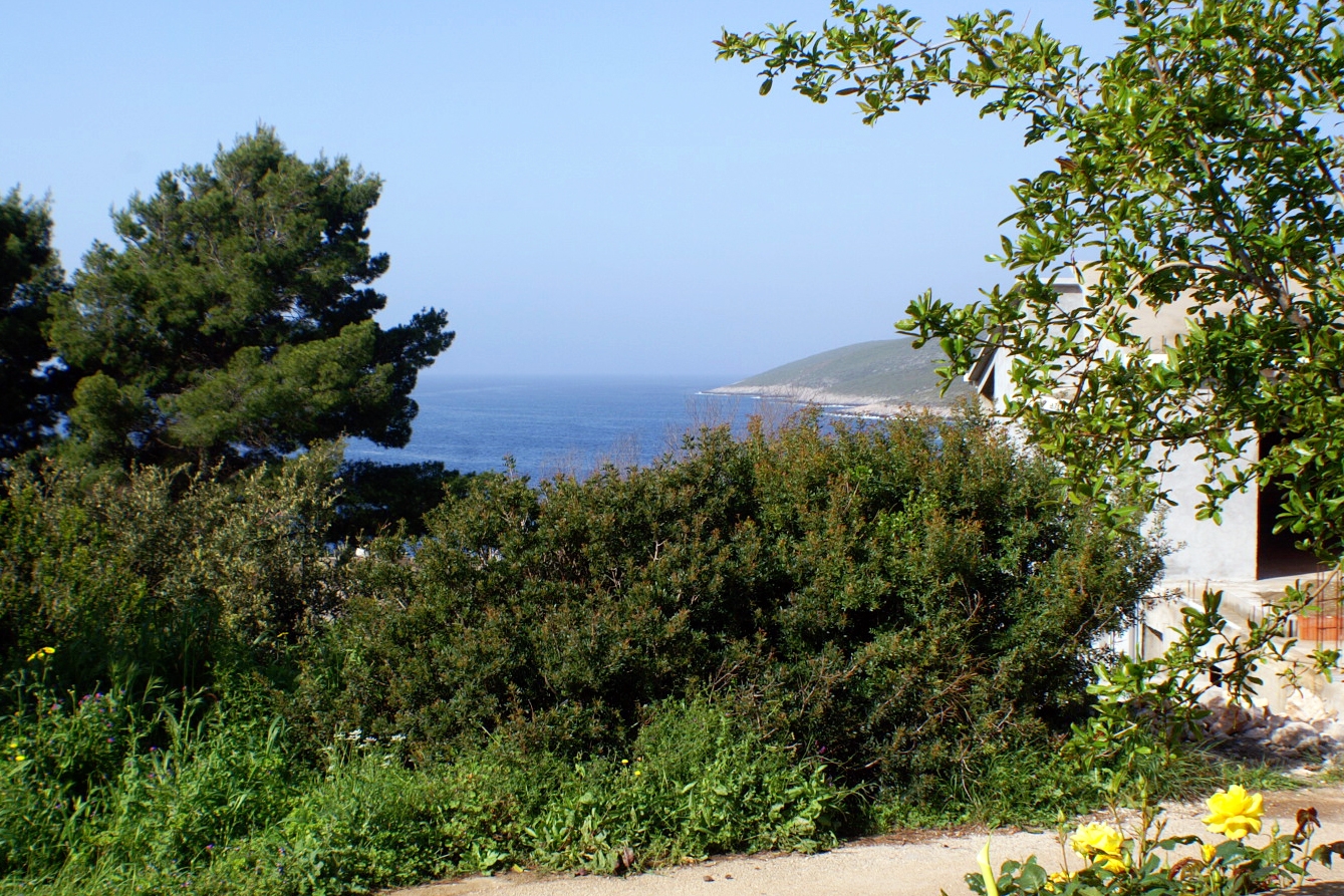 Two bedroom apartment with terrace and sea view Zavalatica, Korčula  A-c