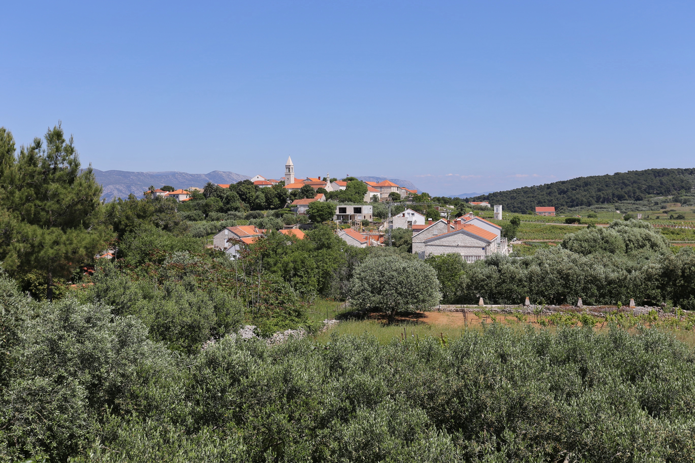 Top Korčula Lumbarda Top Korčula Lumbarda