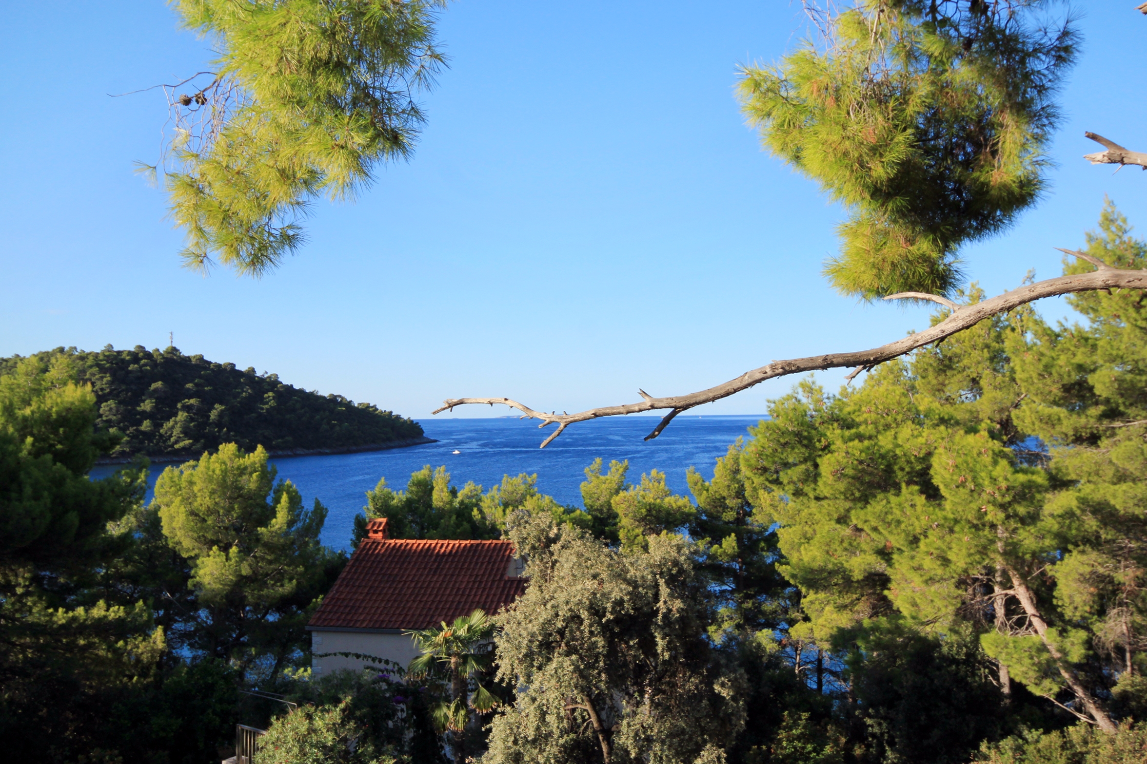 Two bedroom apartment near beach Brna, Korčula  A-c