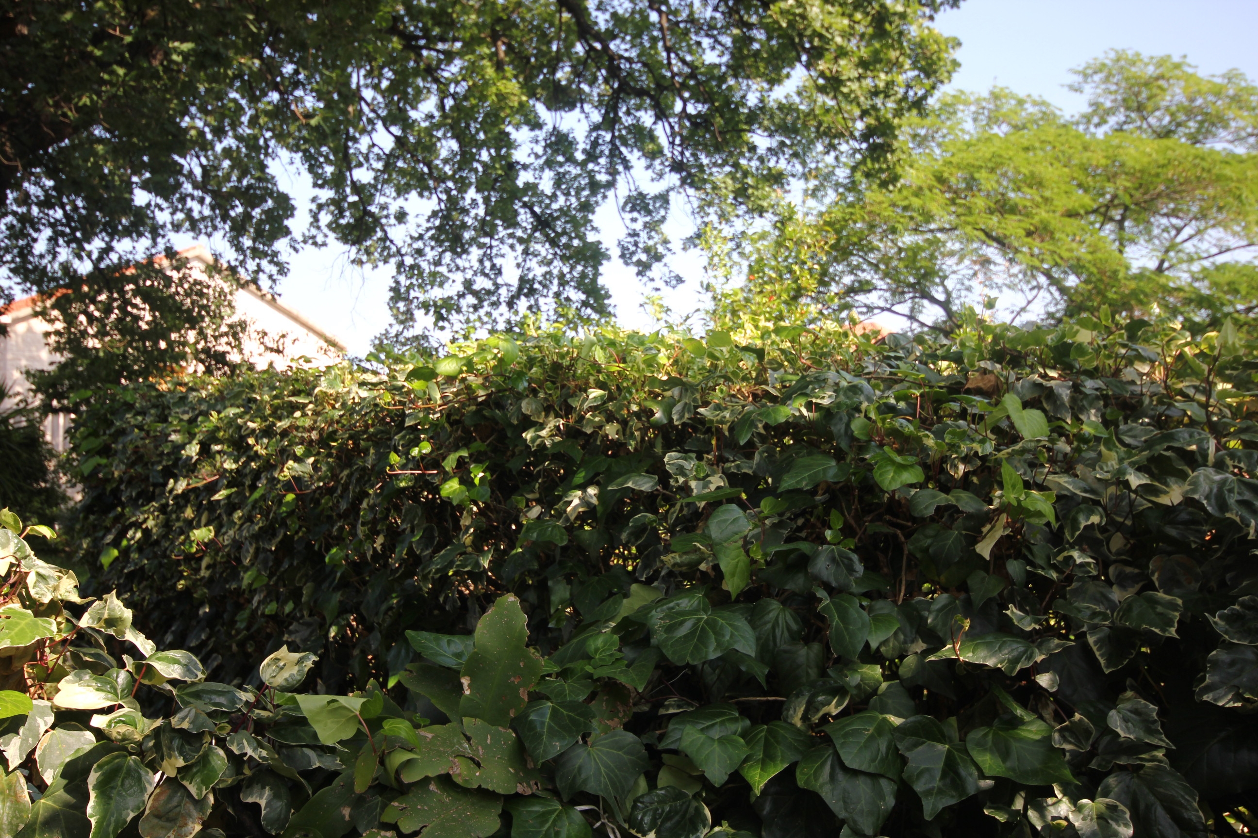 Top Pelješac Orebić Top Pelješac Orebić