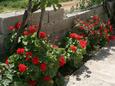 Trpanj, Pelješac, Courtyard 4510 - Apartments near sea with pebble beach.