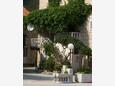 Trstenik, Pelješac, Courtyard 4511 - Apartments near sea with pebble beach.