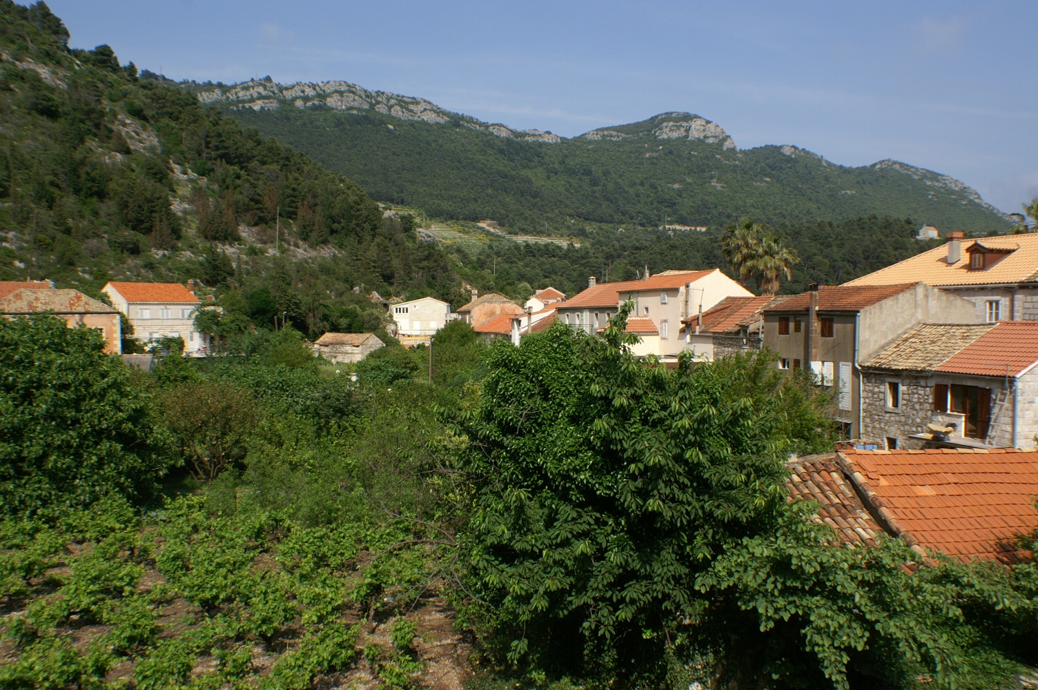 Top Pelješac Trstenik Top Pelješac Trstenik