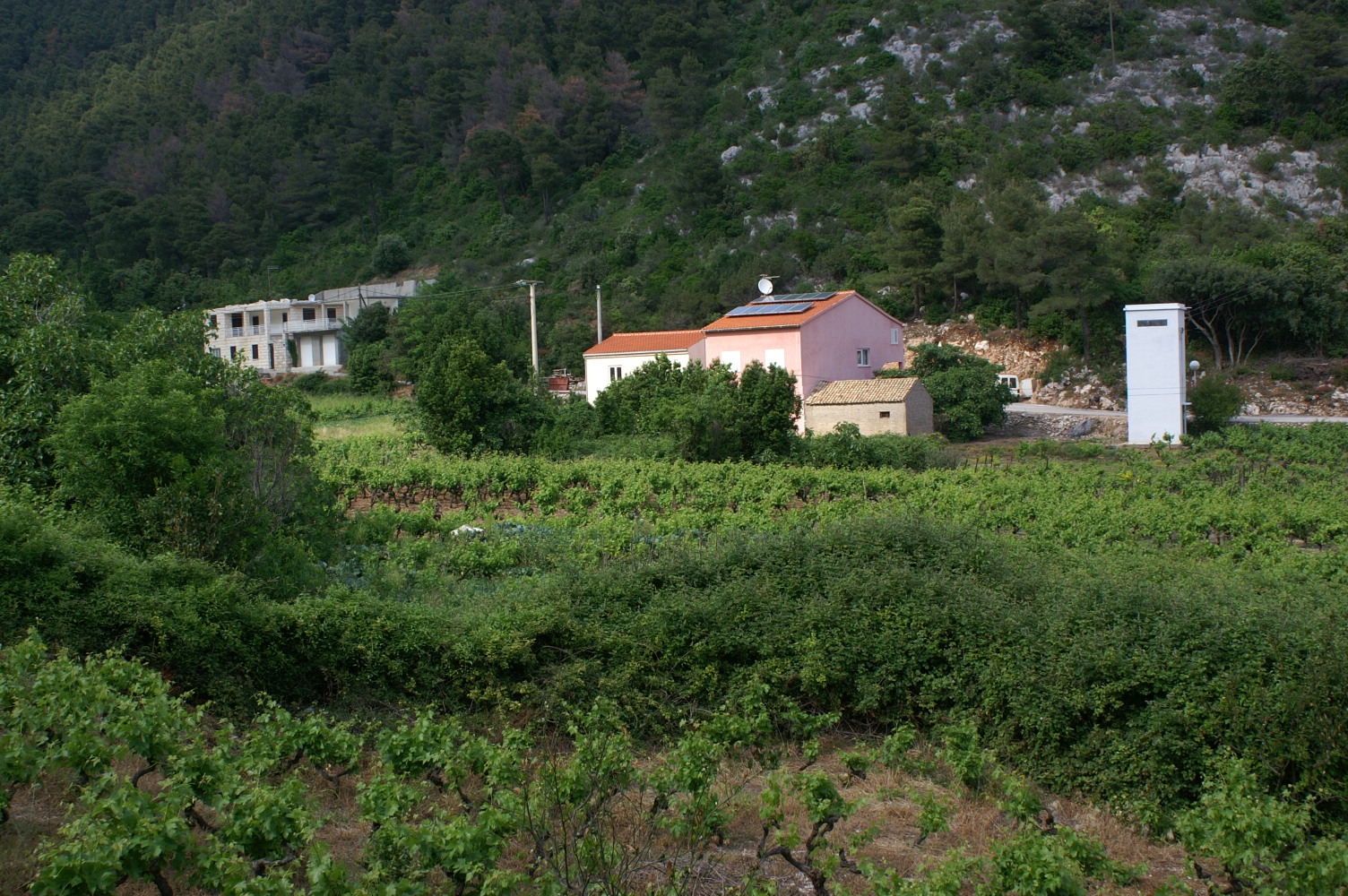 One bedroom apartment with balcony Trstenik, Pelješac  A-a