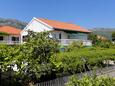 Apartments Orebić (Pelješac) - 4513