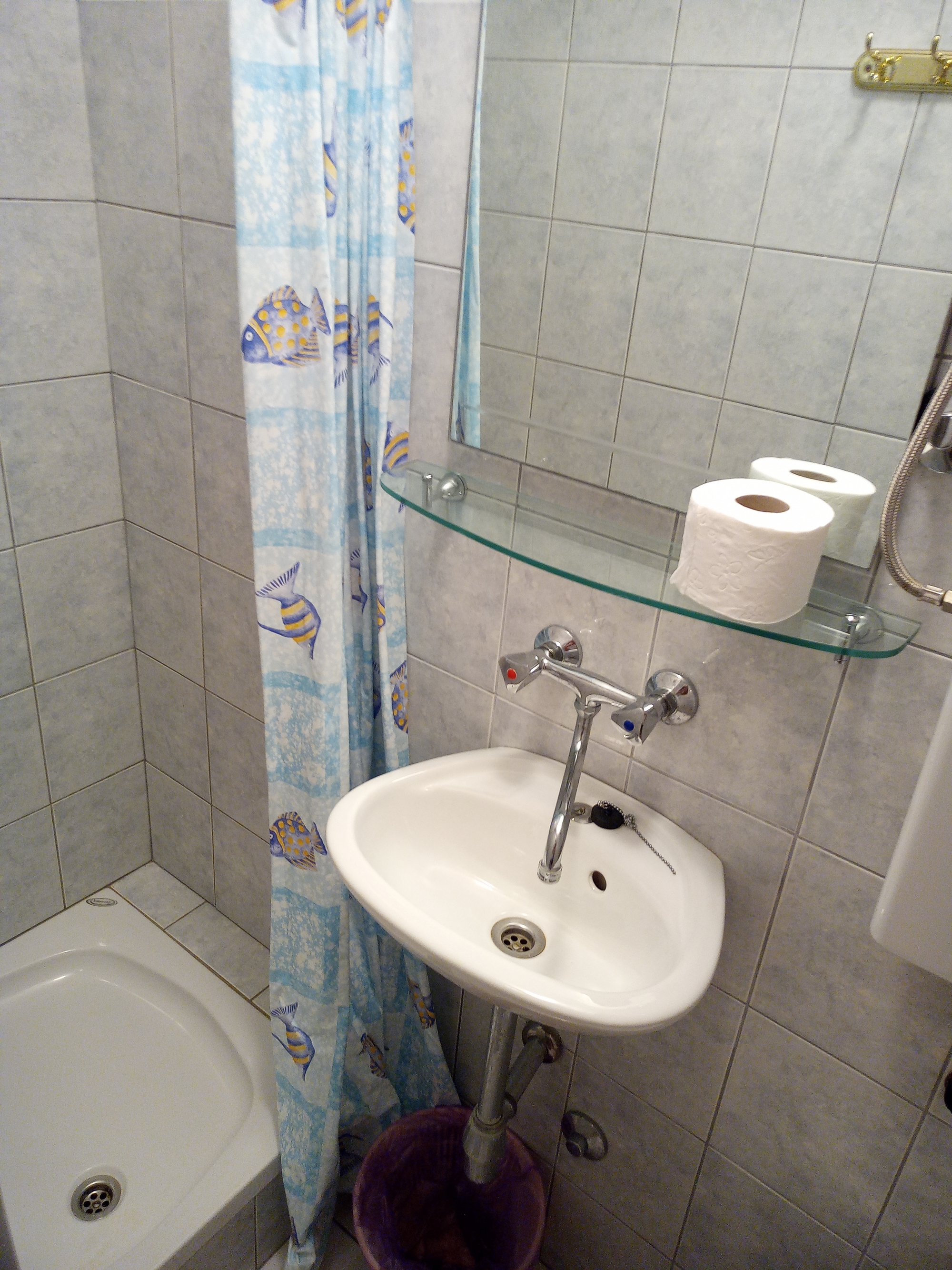 Comfortable and spacious apartment near beach Cove Velika Prapratna, Pelješac  A-c