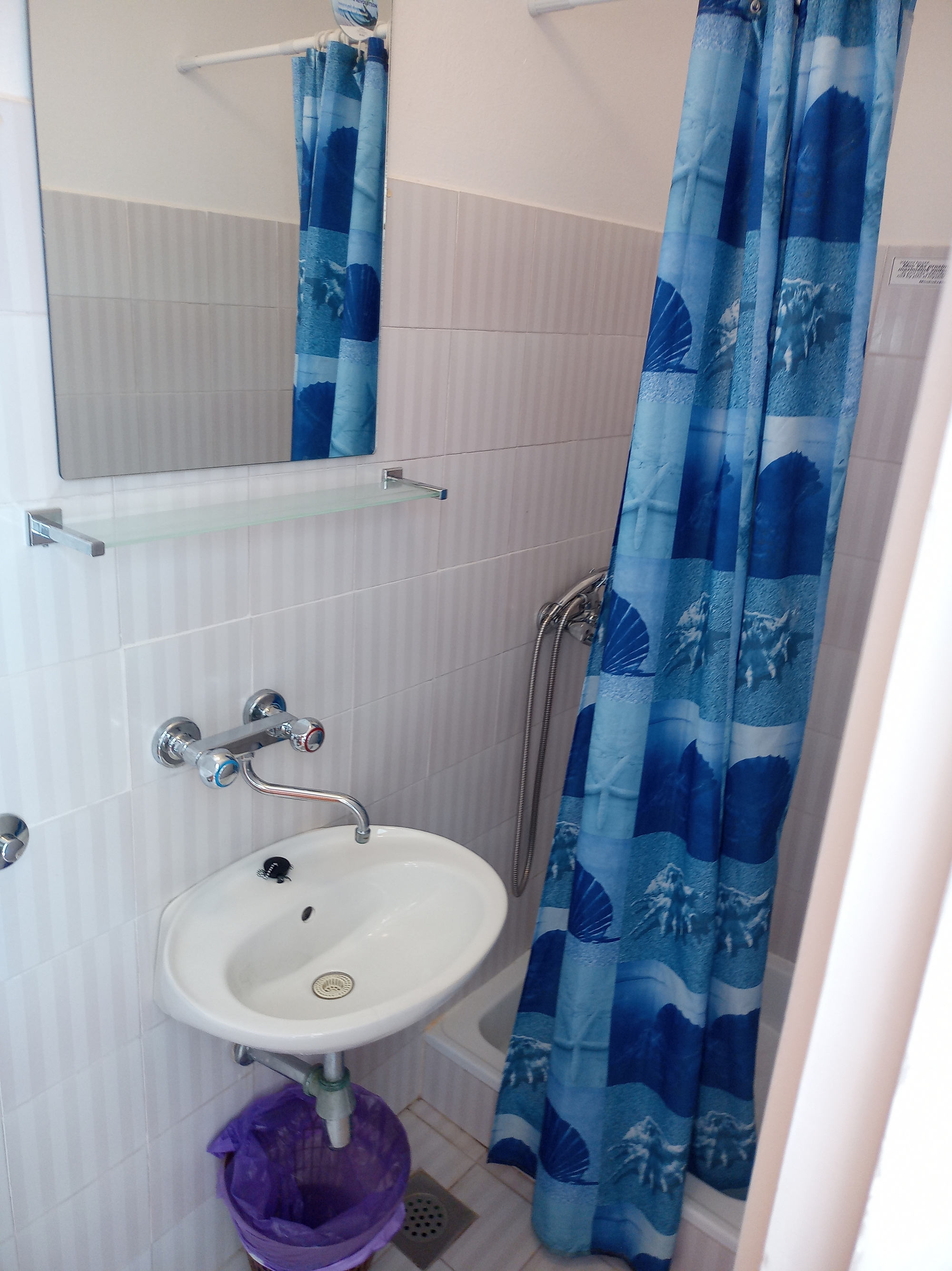 Comfortable and spacious apartment near beach Cove Velika Prapratna, Pelješac  A-c