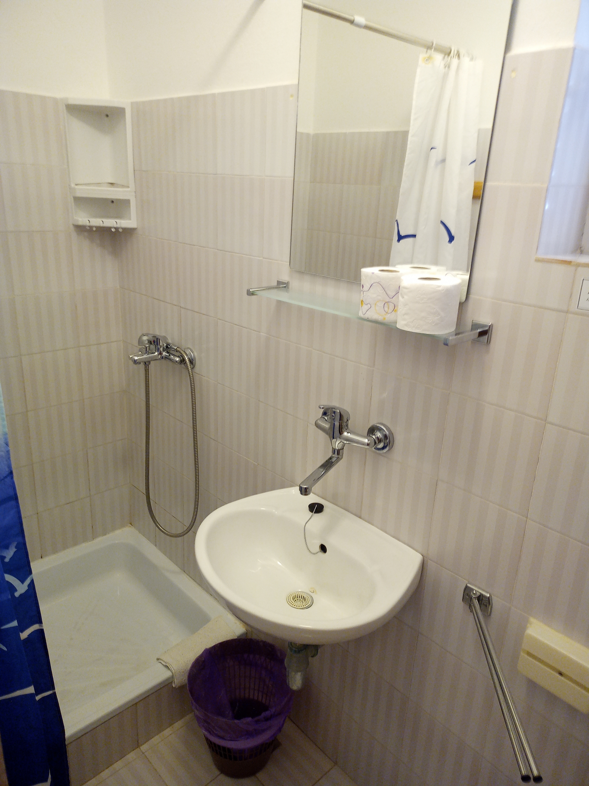 Comfortable and spacious apartment near beach Cove Velika Prapratna, Pelješac  A-c