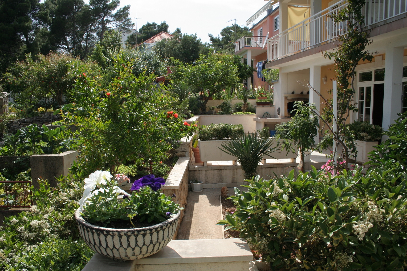 Top Pelješac Orebić Top Pelješac Orebić