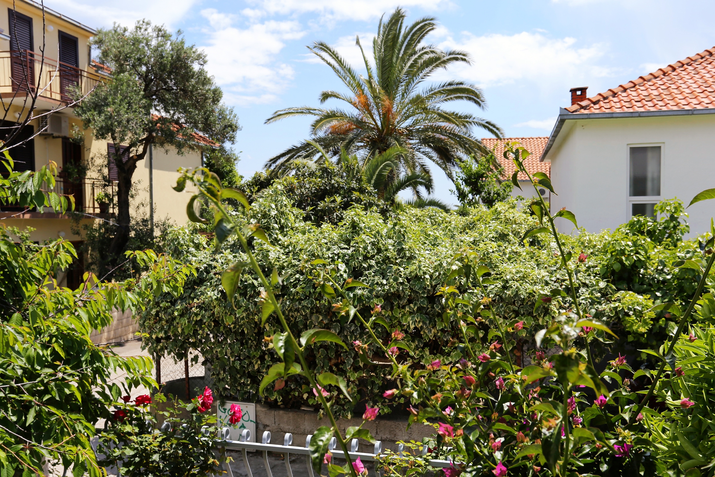 One bedroom apartment with terrace Orebić, Pelješac  A-b