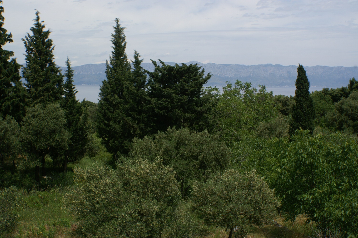 One bedroom apartment with balcony and sea view Duba Pelješka, Pelješac  A-b
