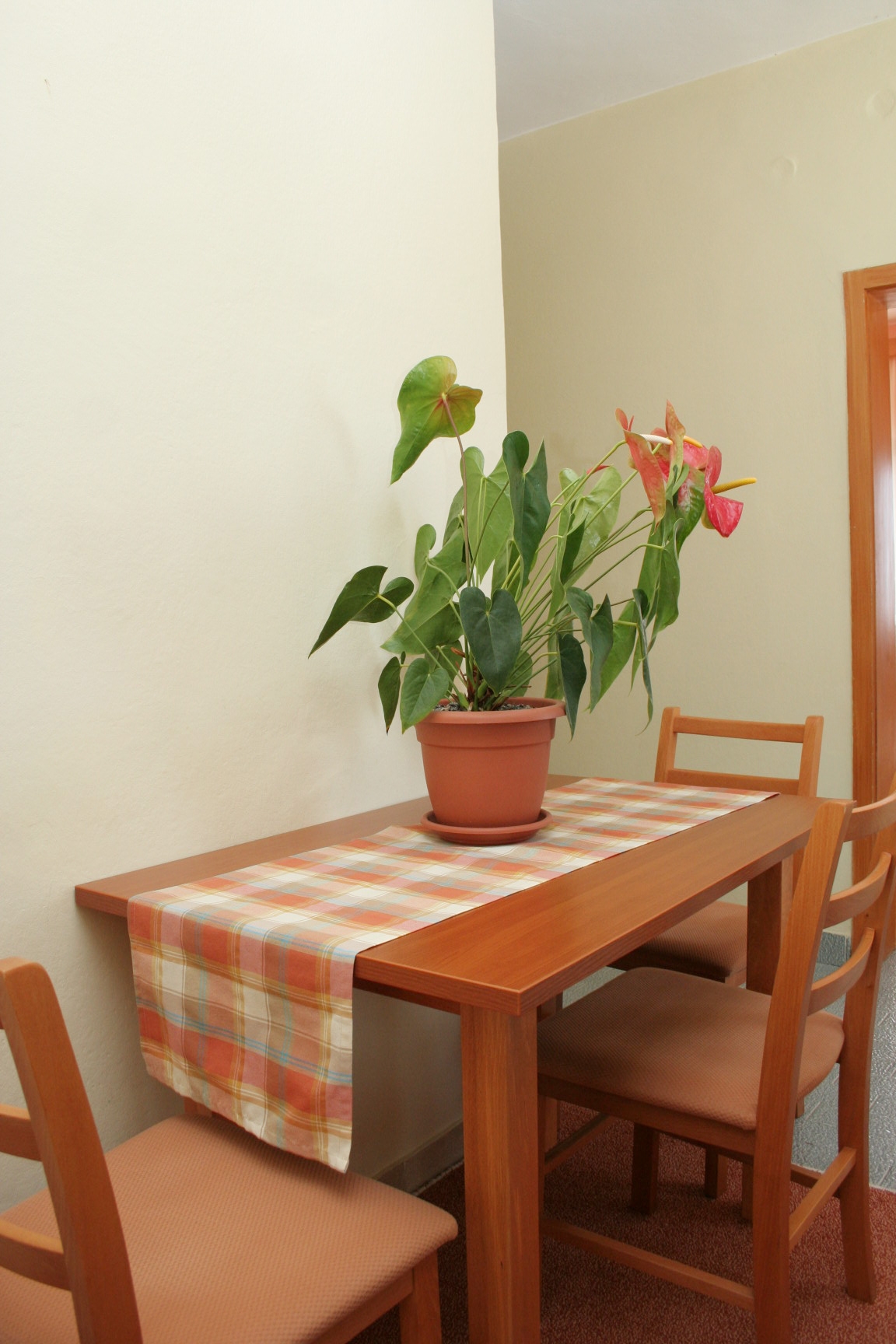 Top Pelješac Orebić Top Pelješac Orebić