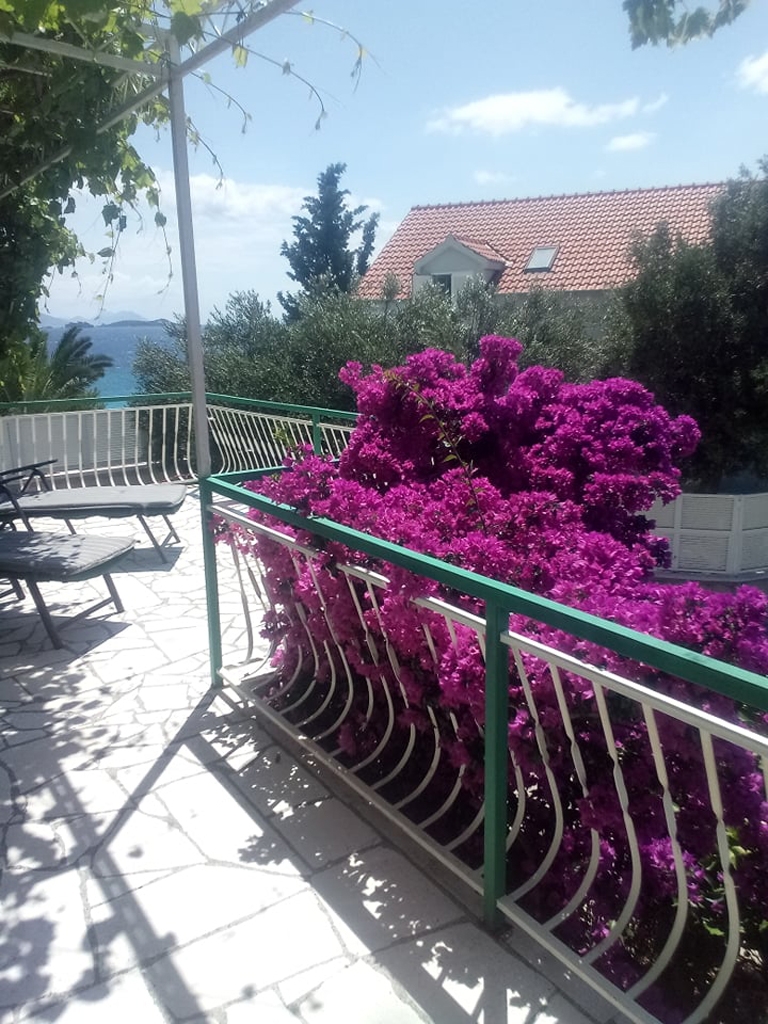 Two bedroom apartment near beach Kučište - Perna, Pelješac  A-a