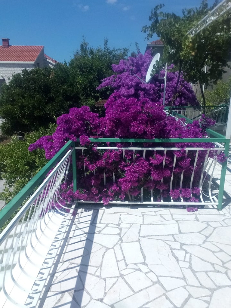 Two bedroom apartment near beach Kučište - Perna, Pelješac  A-a