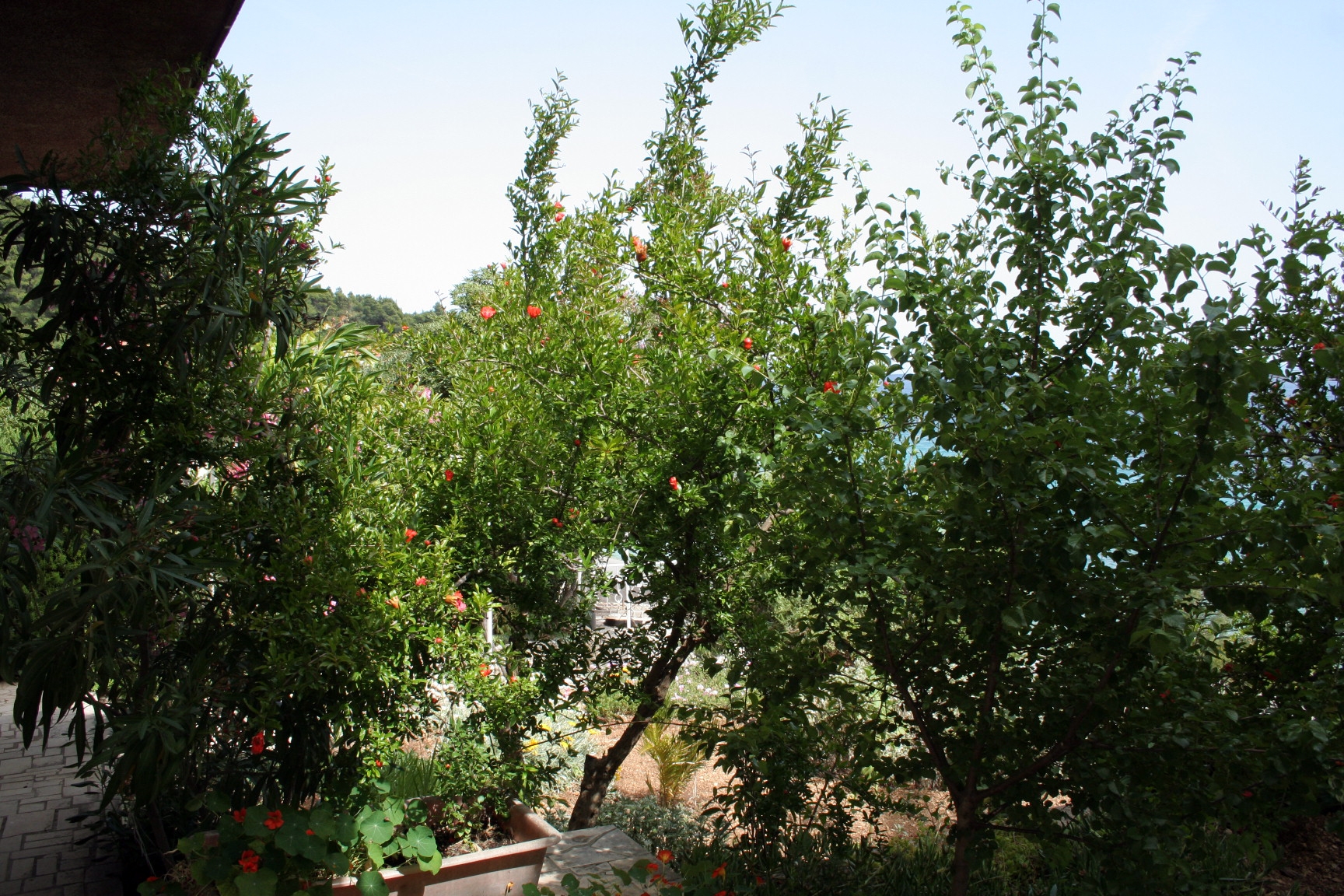 Two bedroom apartment near beach Kučište - Perna, Pelješac  A-c