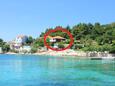 Apartments Kučište - Perna (Pelješac) - 4542