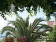 Shared terrace - view Sreser, Shared terrace - view in the room, dopusteni kucni ljubimci i WIFI.