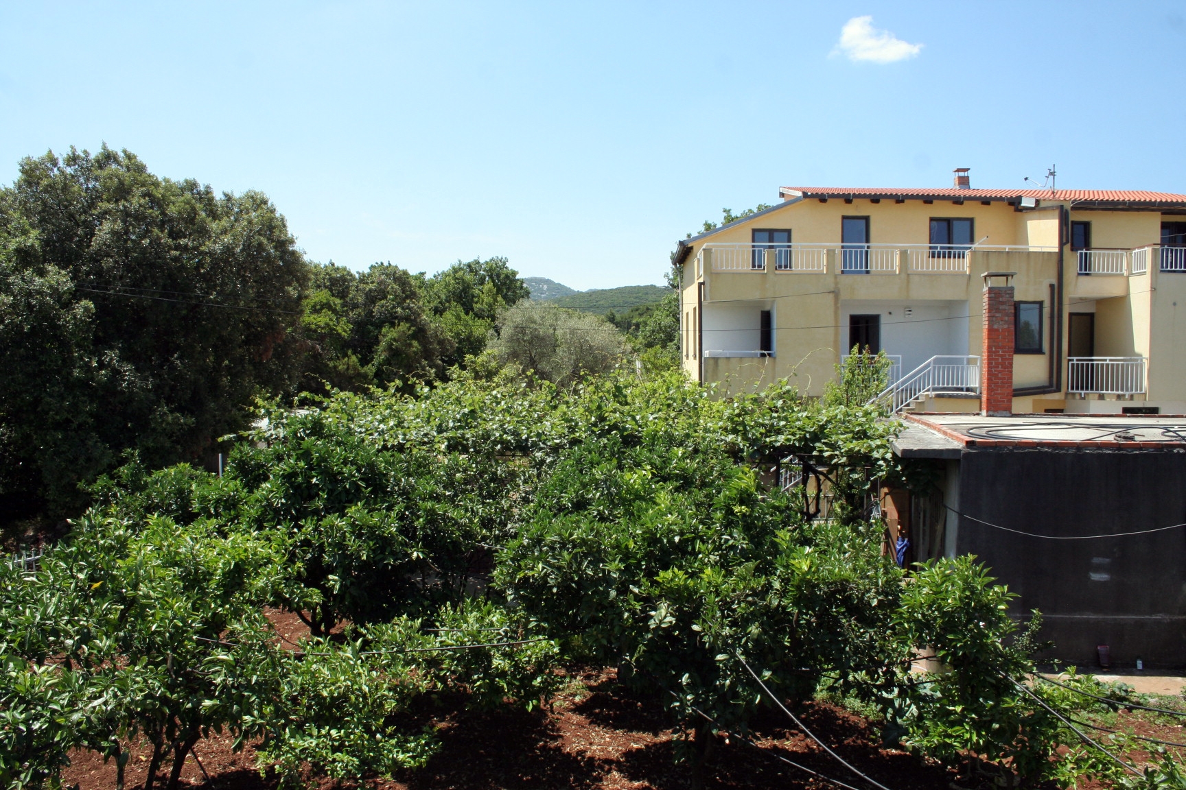 Four bedroom apartment with terrace Sreser, Pelješac  A-a