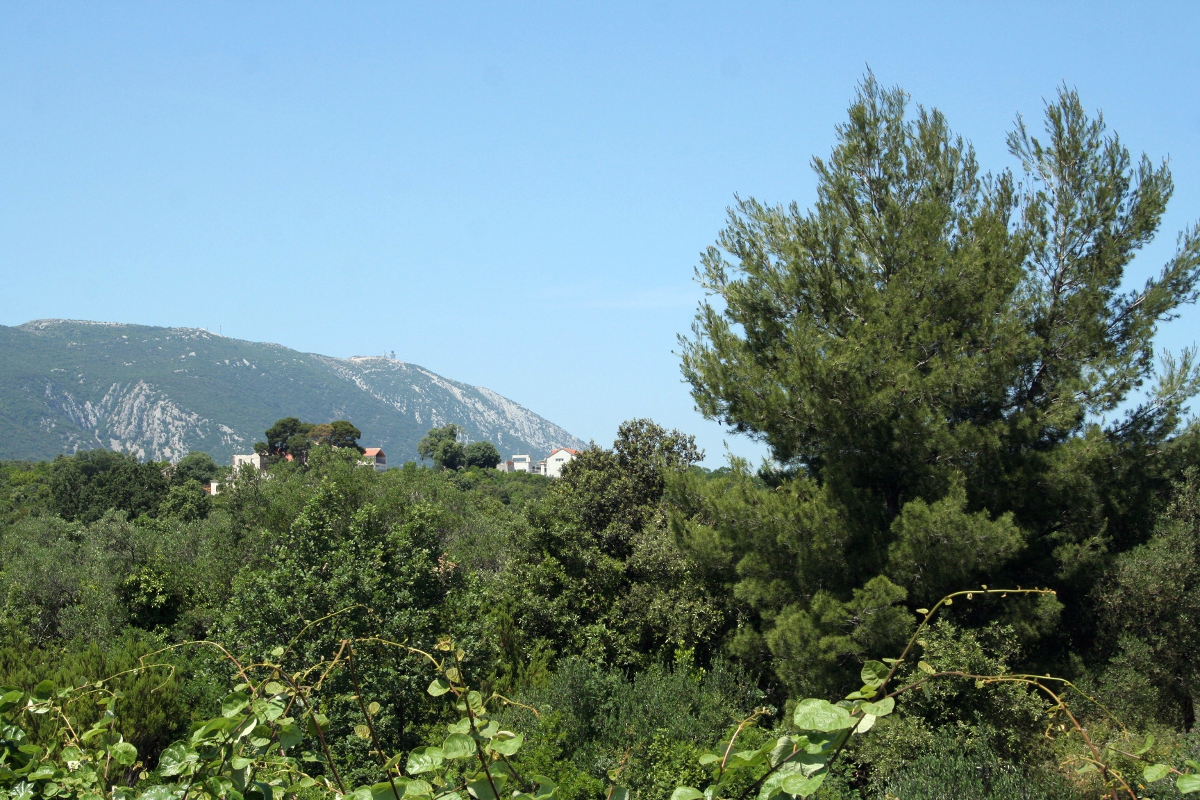 Four bedroom apartment with terrace Sreser, Pelješac  A-a