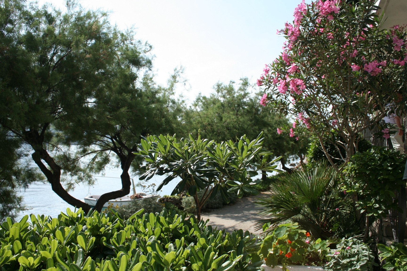 One bedroom apartment near beach Trstenik, Pelješac  A-a