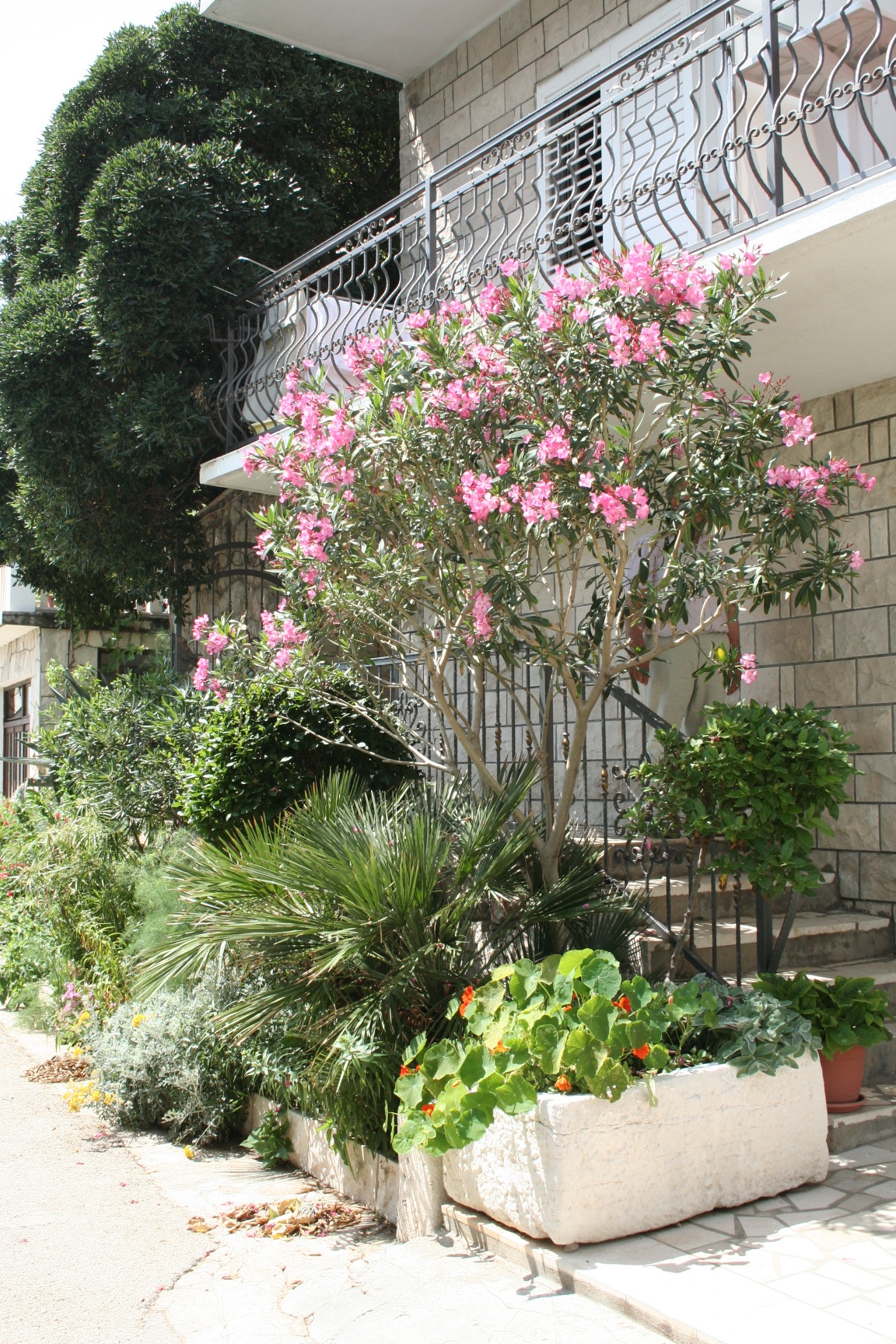 One bedroom apartment near beach Trstenik, Pelješac  A-a