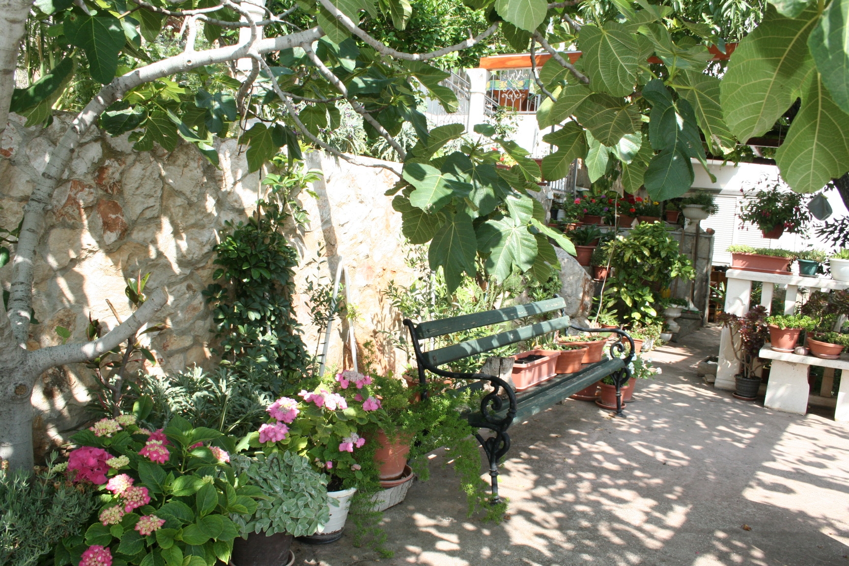 One bedroom apartment near beach Trstenik, Pelješac  A-a