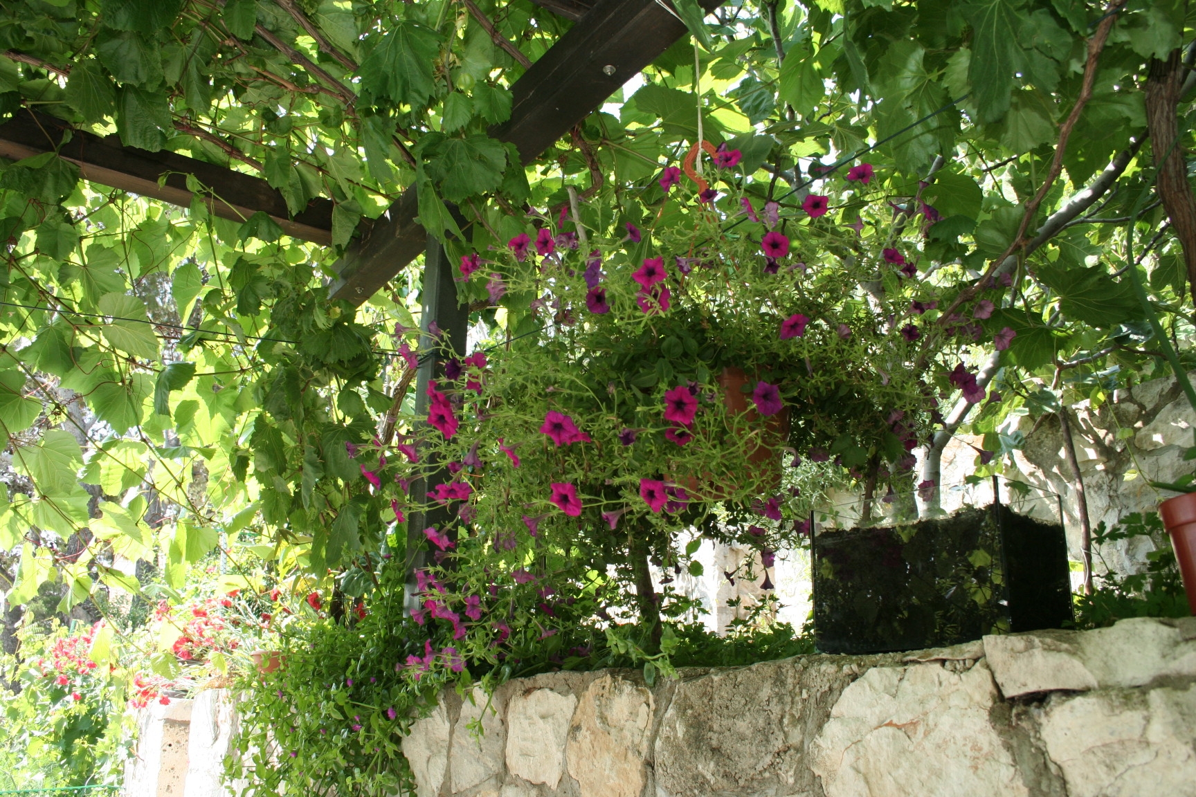 One bedroom apartment near beach Trstenik, Pelješac  A-a