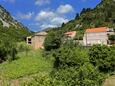 Trstenik, Terrasse - Ausblick in folgender Unterkunftsart apartment, WiFi.