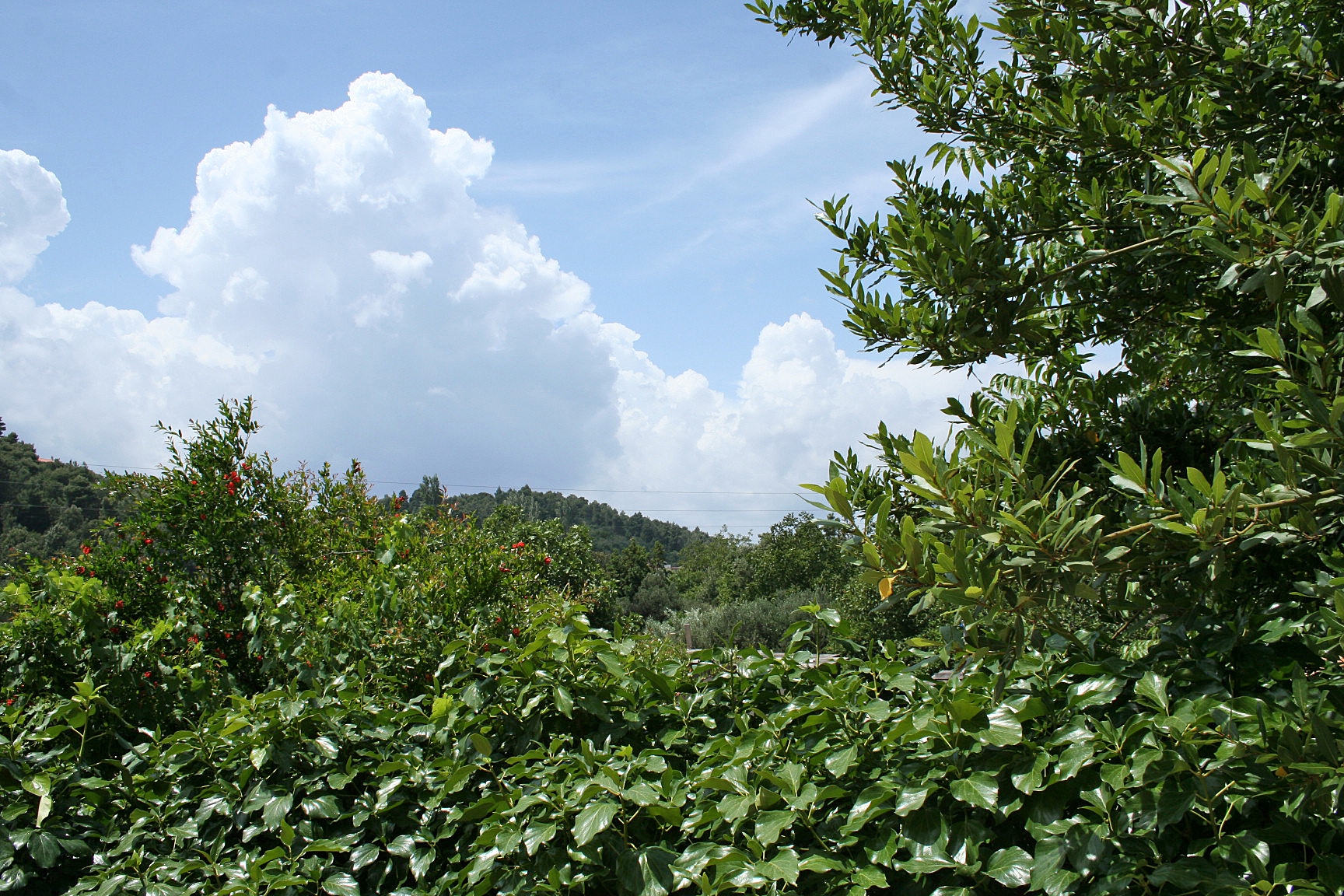 Top Pelješac Žuljana Top Pelješac Žuljana