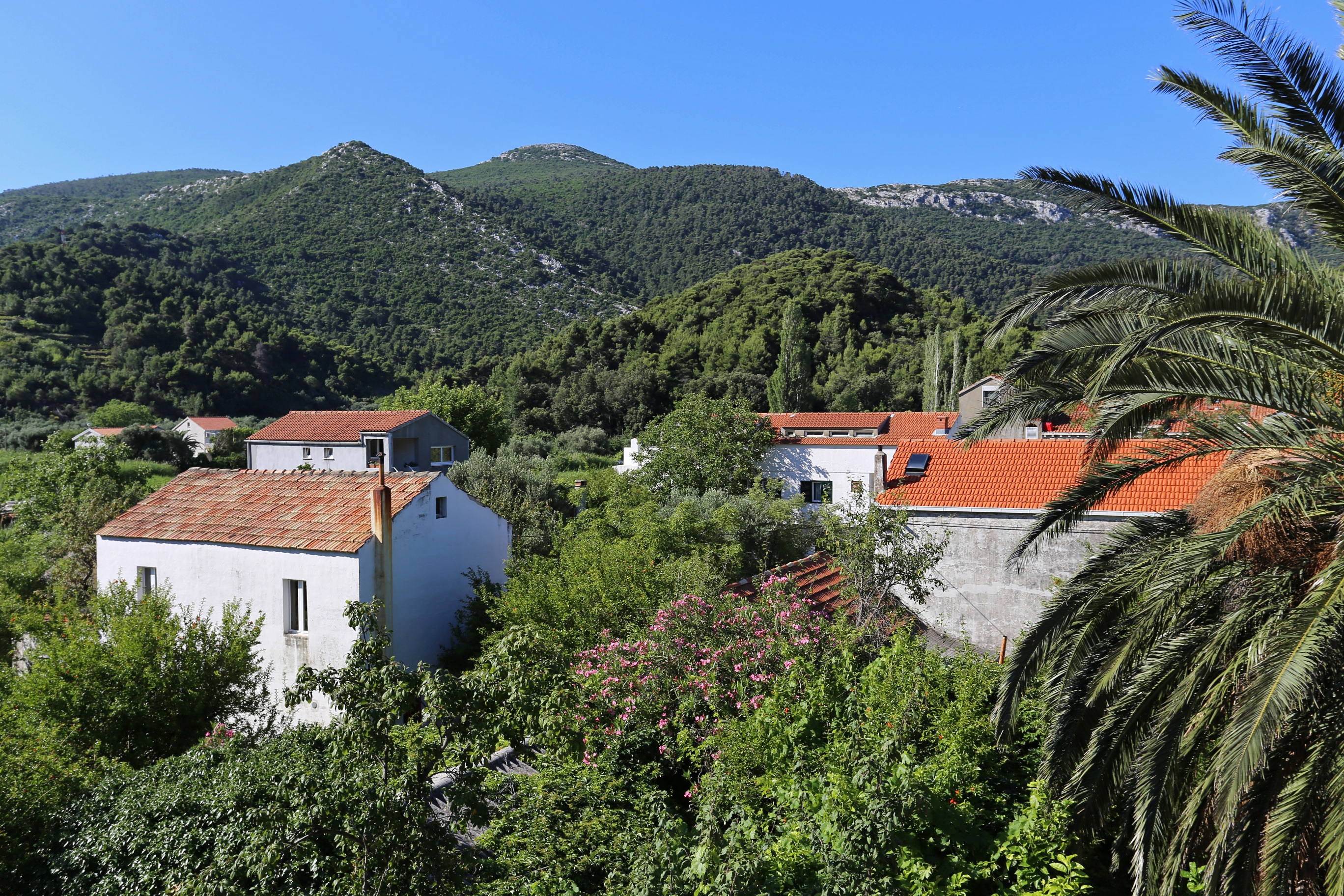 One bedroom apartment with terrace and sea view Žuljana, Pelješac  A-a