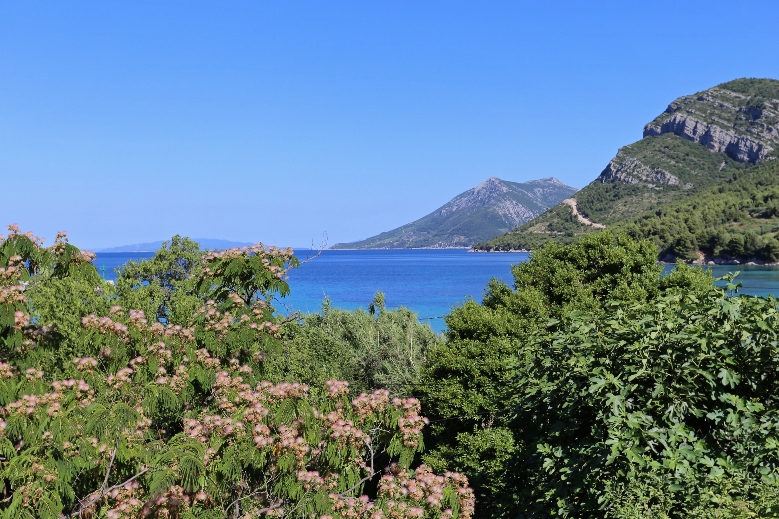 One bedroom apartment with terrace and sea view Žuljana, Pelješac  A-a