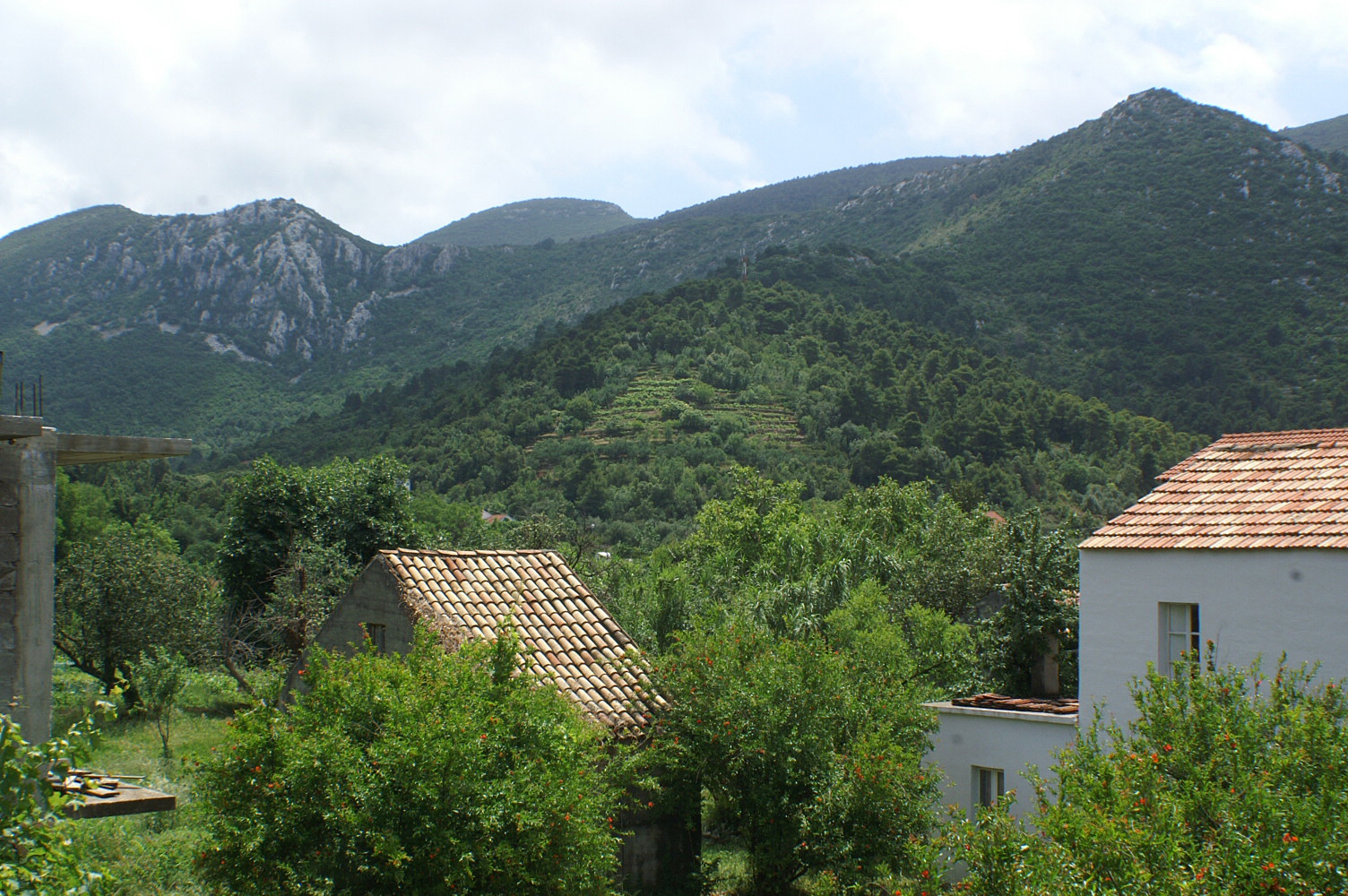 Top Pelješac Žuljana Top Pelješac Žuljana