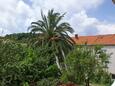 Žuljana, Balcony - view in the studio-apartment, (pet friendly) and WiFi.