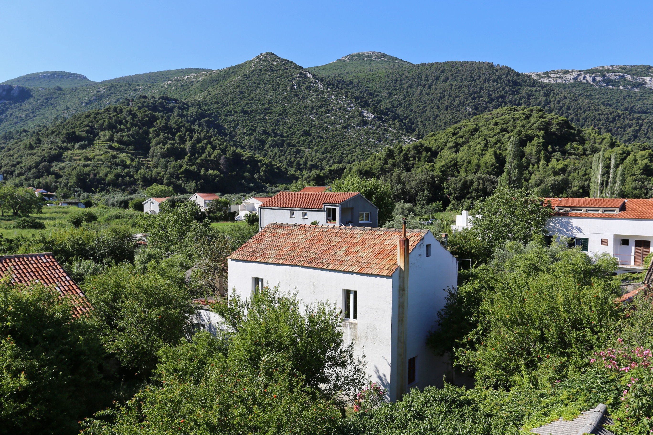 Top Pelješac Žuljana Top Pelješac Žuljana