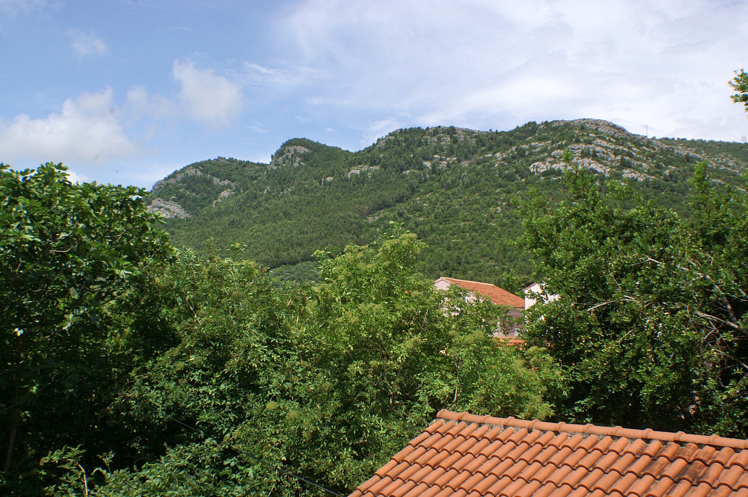 Top Pelješac Žuljana Top Pelješac Žuljana