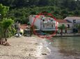 Ferienwohnungen Žuljana (Pelješac) - 4577
