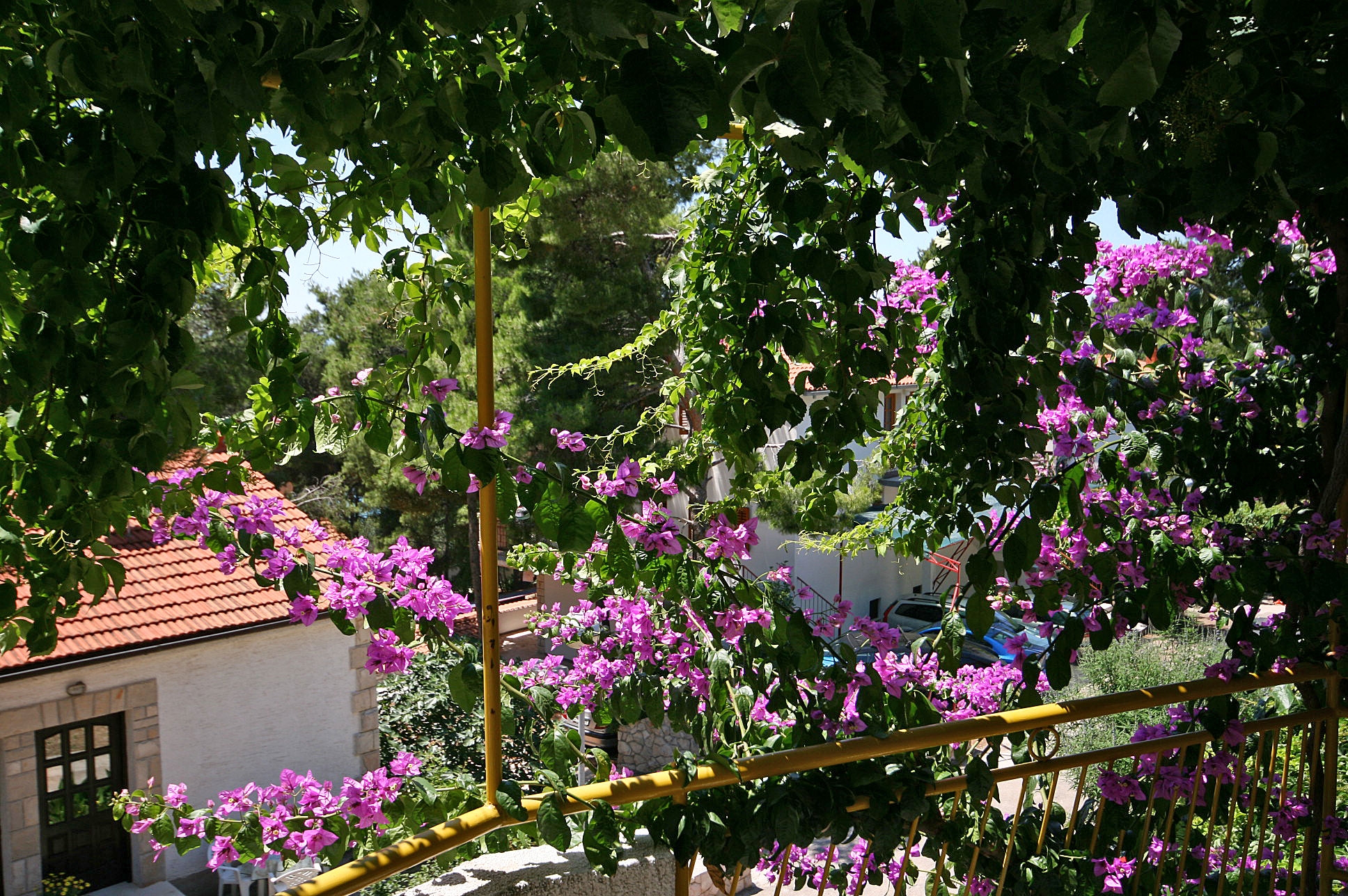 Top Hvar Ivan Dolac Top Hvar Ivan Dolac