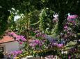 Ivan Dolac, Terrasse - Ausblick in folgender Unterkunftsart apartment, Haustiere erlaubt und WiFi.