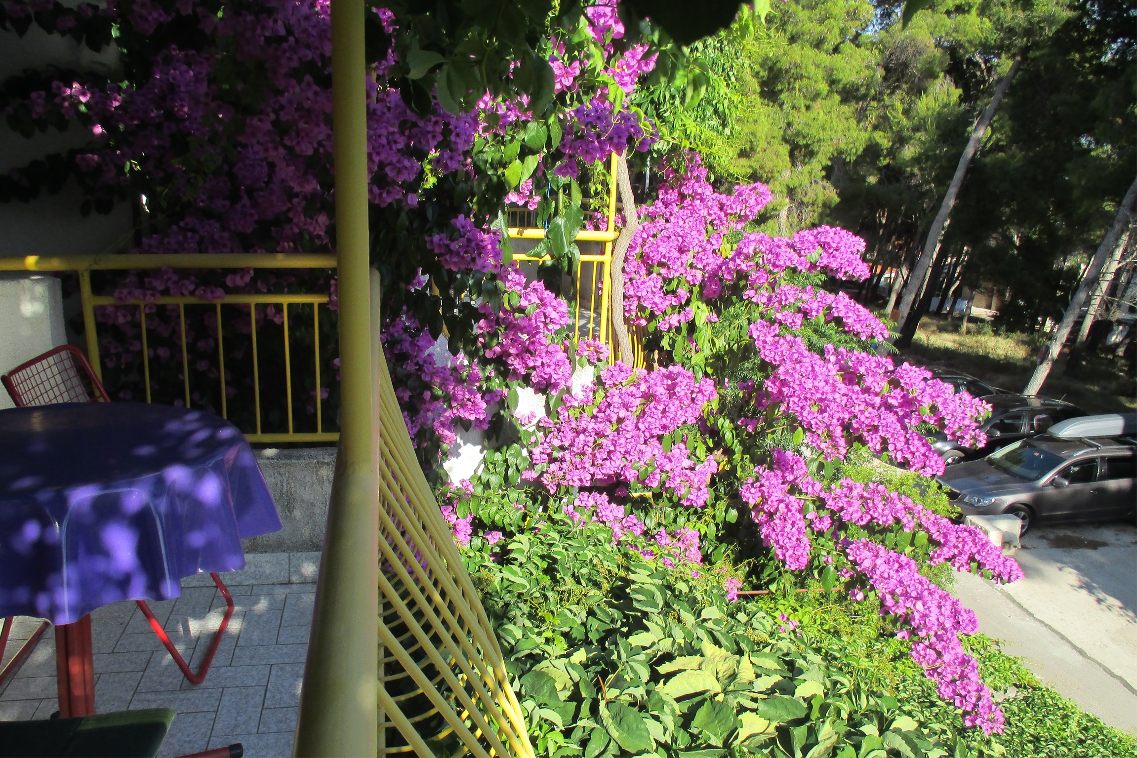 One bedroom apartment with balcony and sea view Ivan Dolac, Hvar (A-4584-c)