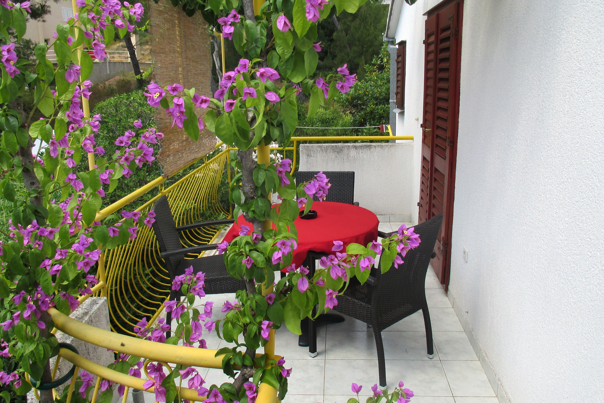 Top Hvar Ivan Dolac Top Hvar Ivan Dolac