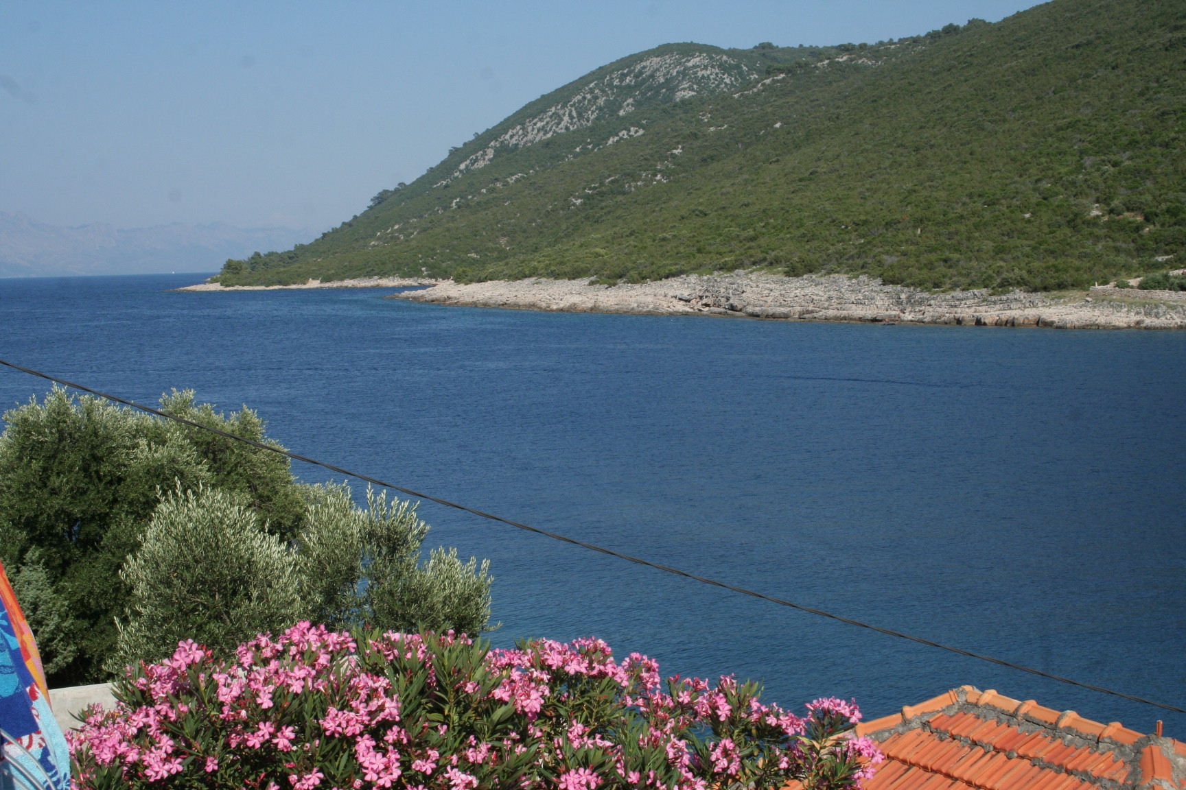 Two bedroom apartment near beach Cove Zarace (Gdinj), Hvar  A-b